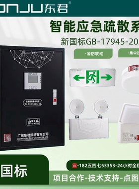 东君应急照明集中电源箱DJ-D-0.5KVA150W300W1KVA36V专用分配电箱