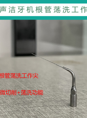 ED60啄木鸟工作尖头EMS赛特力DTE维润VDW超声洁牙机牙周仪适用
