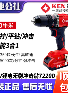 锐奇20V无刷锂电冲击钻60牛米手电钻大扭力手枪钻电动螺丝刀7220D