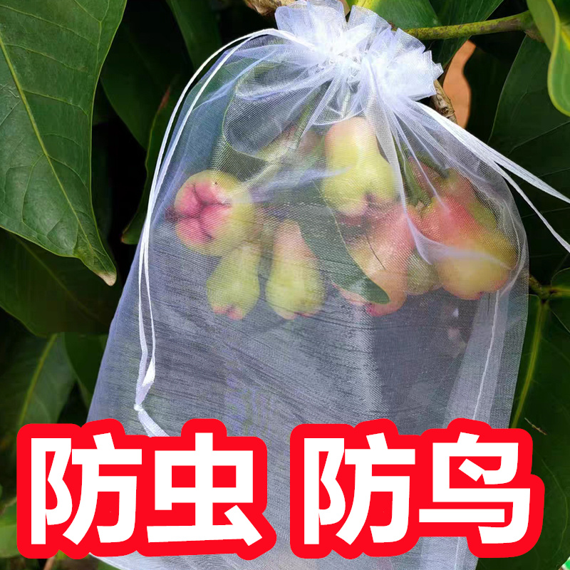 莲雾套袋专用袋 莲雾专用套袋 莲雾防虫袋莲雾水果套袋专用袋保护