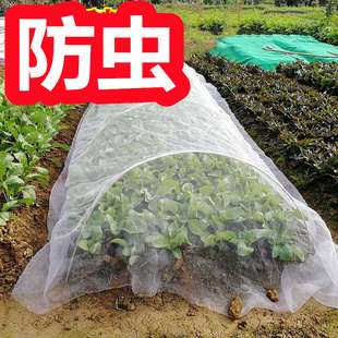 種菜防蟲網(wǎng)種菜專用80目60目加密蔬菜防蟲網(wǎng)紗網(wǎng)青菜地園農(nóng)用大棚