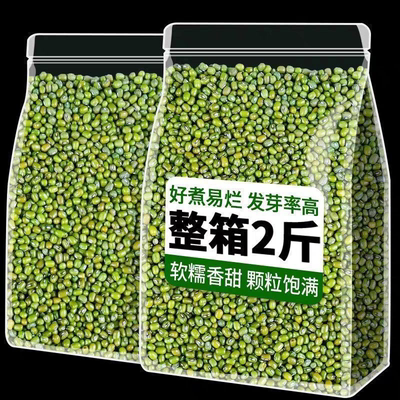 【净重】2025东北新鲜绿豆农家绿豆汤蛹虫草绿豆发芽新鲜蛹虫草