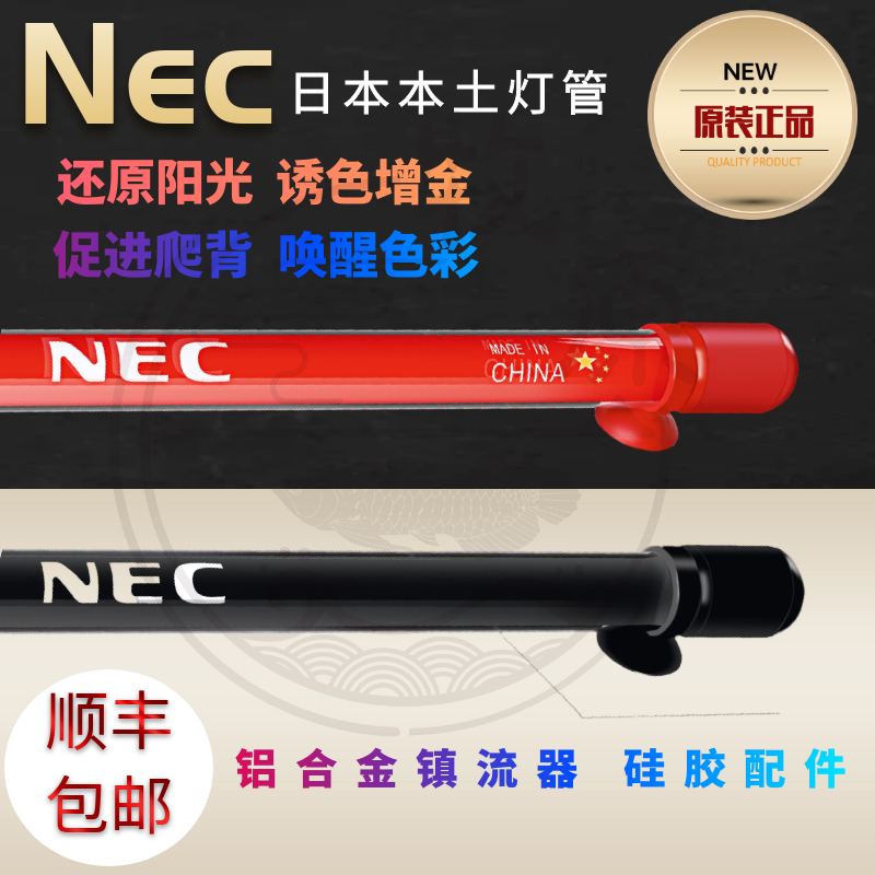 nec医学上是什么意思