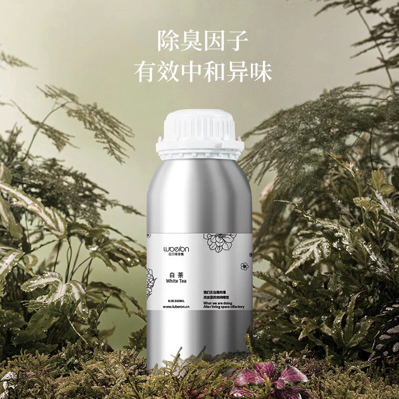 进口酒店大堂加香机 扩香机精油香薰 自动喷香机香氛家用室内熏香