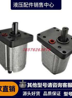 定制萨澳丹佛斯SAUER DANFOSS齿轮泵SNP1NN SNP2NN SNP3NN 液压泵