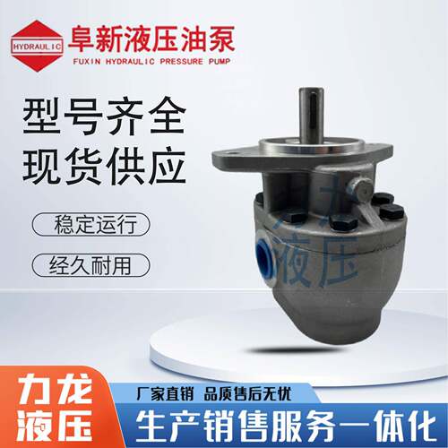 阜新液压高压齿轮油泵 CBF-E10P E16P E18P E25P E32P E40P X ALP