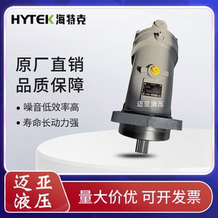 160 107 250HD1DFZ2045轴向柱塞泵 HYTEK海特克液压马达HA6V55