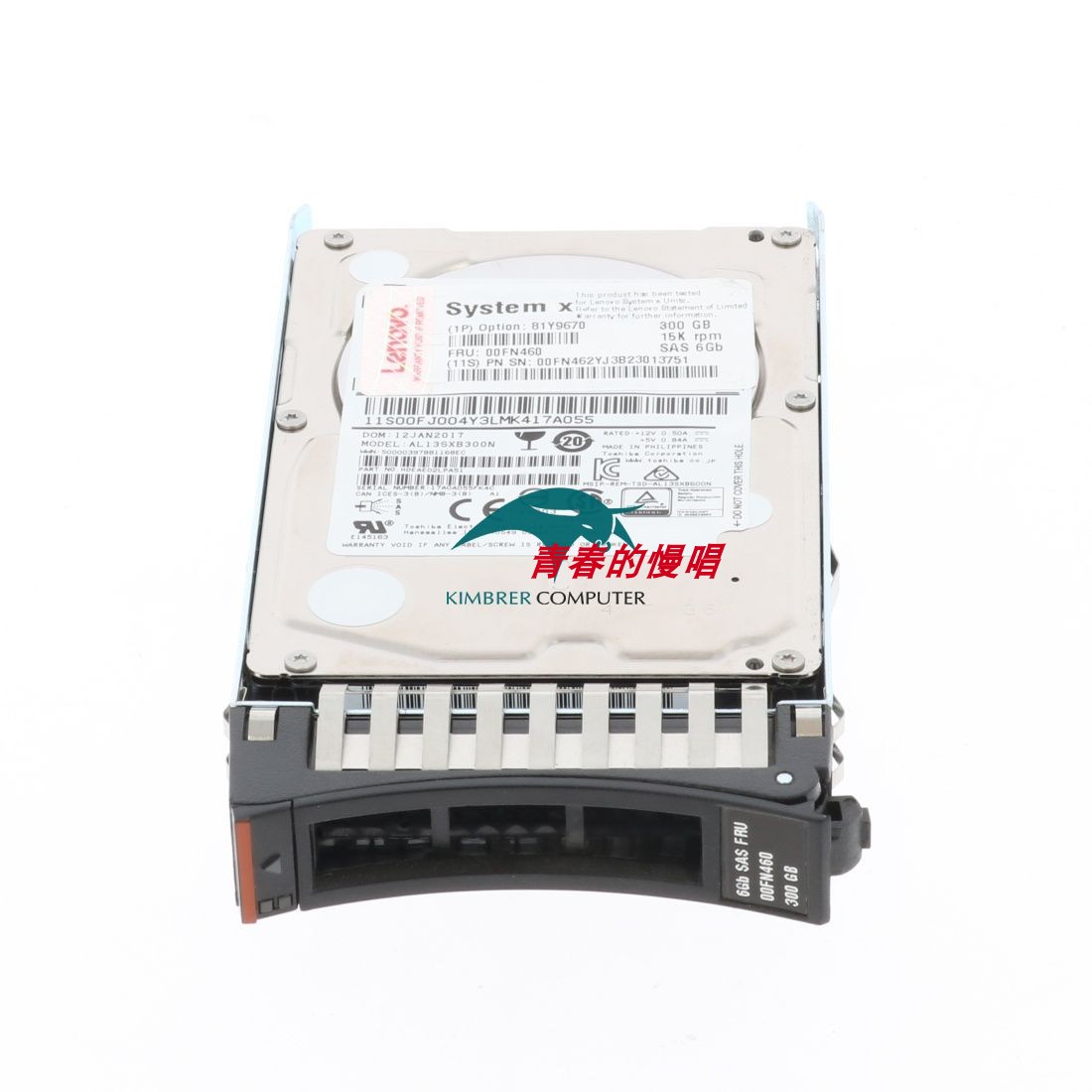 联想 00FN460 00FN462 300G 15K SAS 2.5寸 G2HS X3850X5硬盘