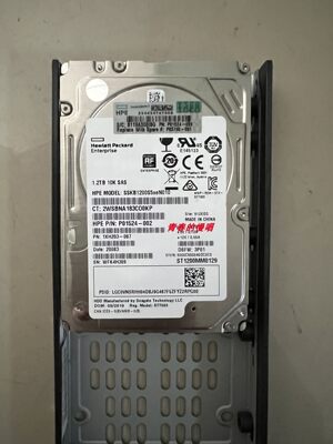 H K2P93B P03798-001 1.2TB 10K SAS P01524 SSKB1200S5xeN010