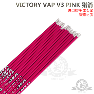 美国进口Victory胜利VAP粉色碳素箭千3直度复合弓射箭4.2内径射准