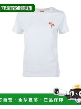 香港直邮KENZO 男士T恤 FF62TS2564SO45A AW2025 灰色男装