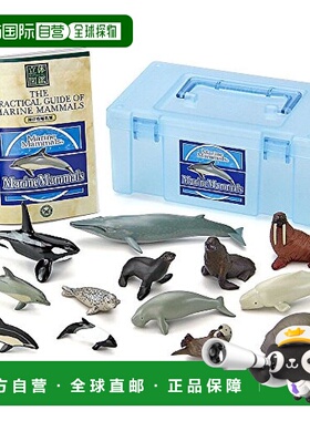 日本直邮COLORATA 3D绘本写实人物盒（13种海洋生物/13种）