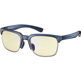 日本直邮SWANS ER1-0121 太阳镜 眼镜 ER10121-CTQB