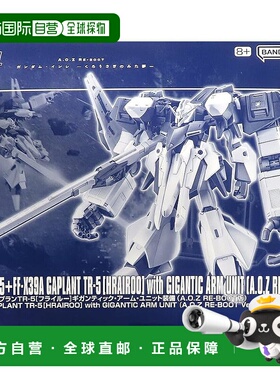 【日本直邮】万代 SPIRITS 1/144 HG ORX-005 GAPLAN TR-5[FLYLEW
