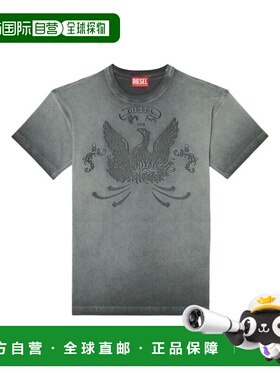 1h可退 香港直邮Diesel 迪赛 男士 DIESEL T-NORM T恤 A193730DLB