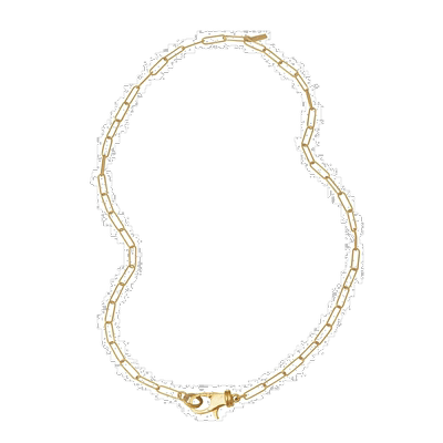 自营 Adornia 锁回形针链项链 14k 黄金镀金纯银 .925 纯银 - 黄