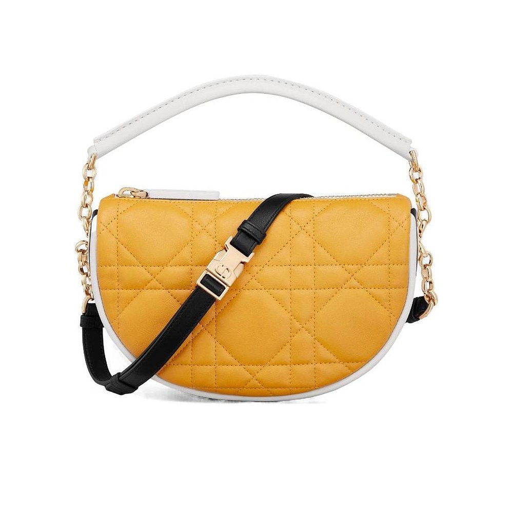 Dior 小号徽标皮质单肩包 M7200ONET图片