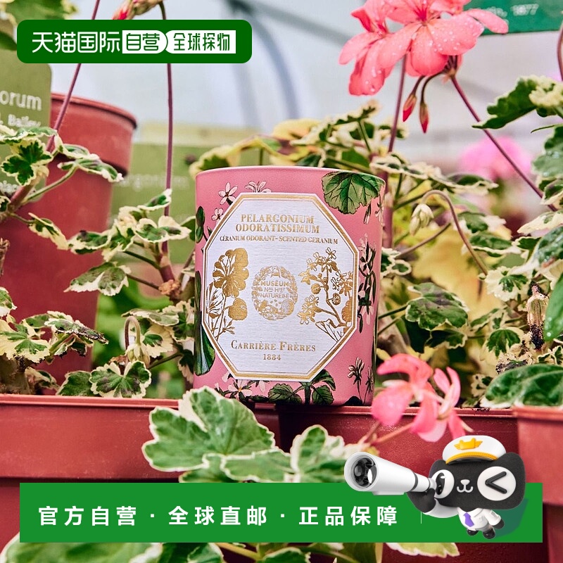 欧洲直邮法国Carriere Freres植物学家 Geranium 天竺葵 香薰蜡烛