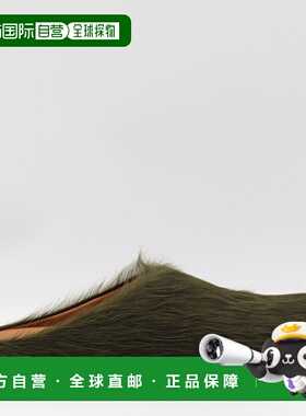 香港直邮MARNI 男士凉鞋 SBMR000600P412200V58 AW2025绿色 拖鞋