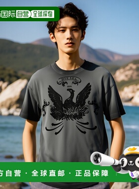 香港直邮DIESEL 男士T恤 A193730DLBW93R AW2025 灰色男装