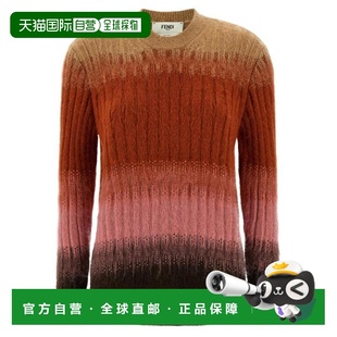 多色 FZXE17AYLTF1TIN 韩国直邮Fendi 毛衣
