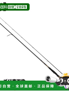 日本直邮Daiwa Seabass Rod 25 Morethan 106M/MH・J