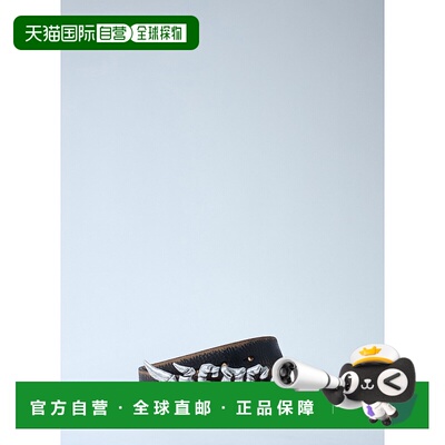 1h可退 香港直邮潮奢 Diesel 迪赛 男士 棕色 B-Graffiti 腰带 X1