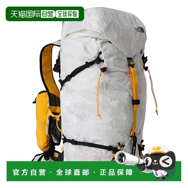 欧洲直邮the north face 男士 双肩包北面背包