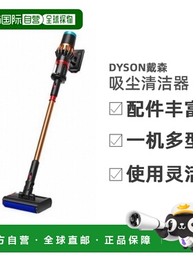 韩国直邮Dyson戴森智能多功能吸尘器清洁器DS60 495992-01