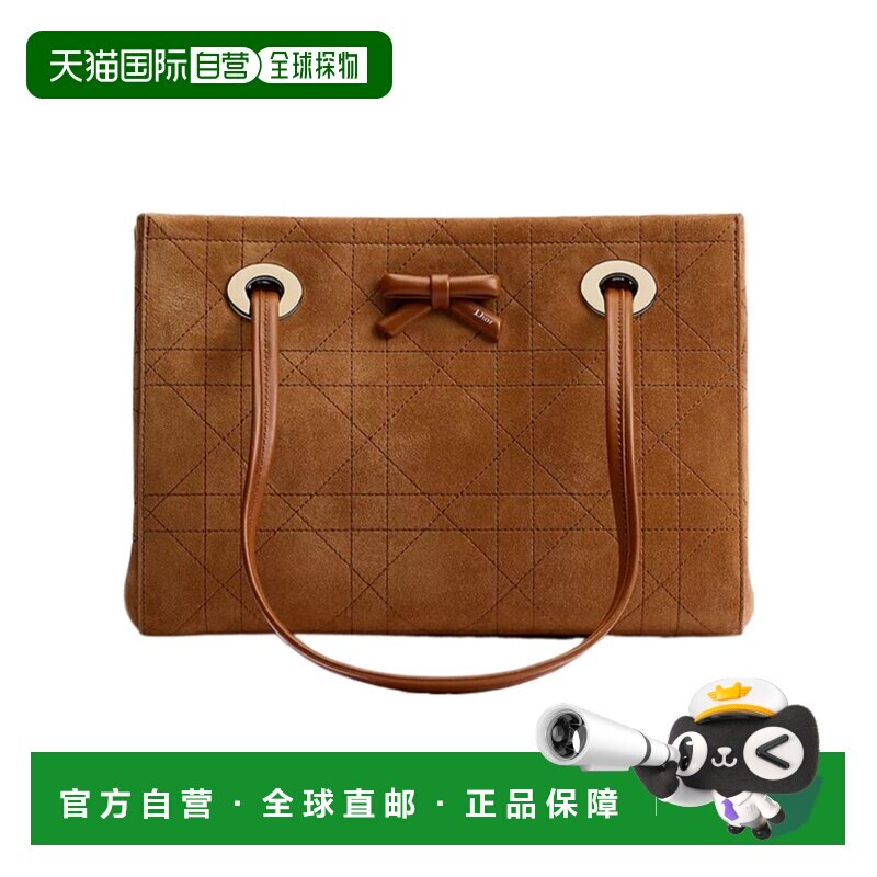 Dior Dior Promenade 小号购物袋 M1410OHSU手提包【付后1h可退】