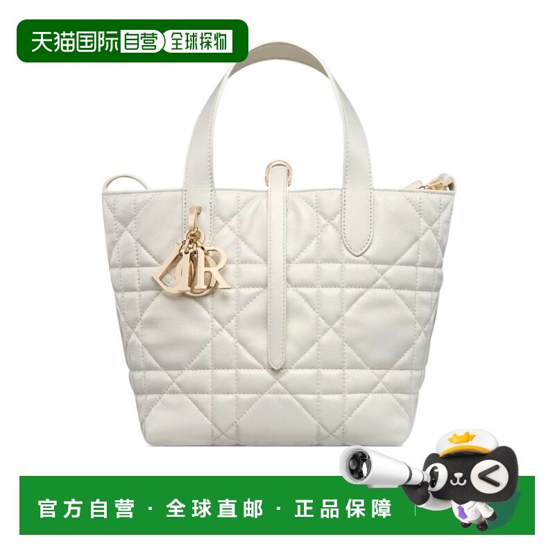 香港直邮Dior 小号 Dior Toujours 竖版手提包手袋 M2835OPWF