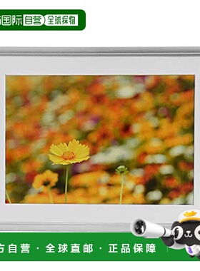 【日本直邮】Fujicolor富士胶片 相框铝制A32 4切大小 银色 30664