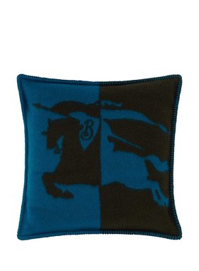 BURBERRY 户外旅行装备 8094892C1161