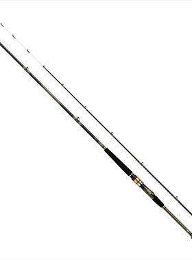 日本直邮daiwa 船竿 Analystar 73 30-180･Q 2 根