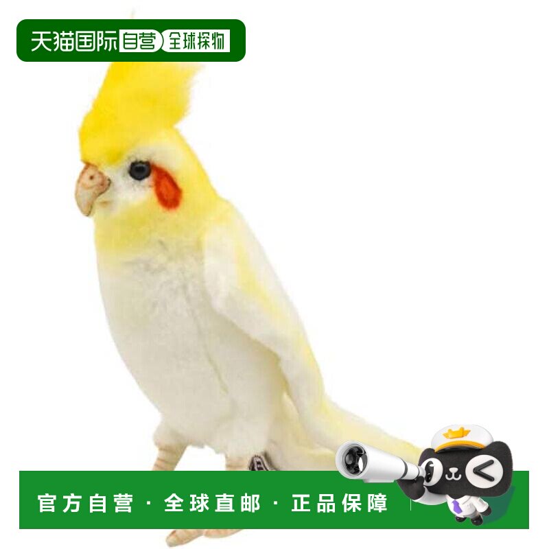 【日本直邮】HANSA娃娃BH6457鹦鹉21儿童可爱毛绒布艺类玩具摆件图片