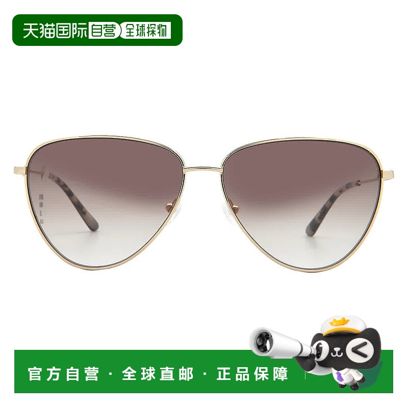 自营Calvin Klein Brown Pink Gradient Cat Eye Ladies Sunglass