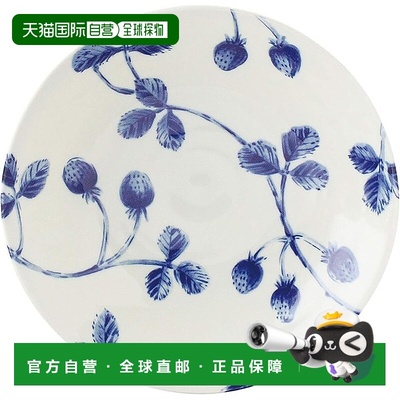 【日本直邮】aito Botanical 咖喱/意面盘 22cm 草莓 白 美浓烧