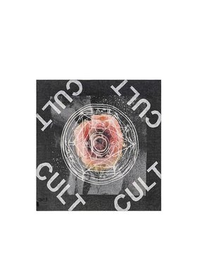 香港直邮ALEXANDER MCQUEEN 女士围巾 337560REG02 高级感 正品