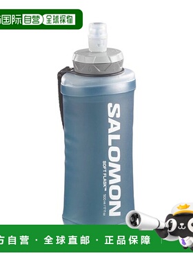 日本直邮 ACTIVE HANDHELD 手持设备