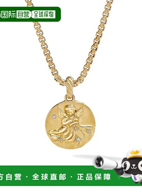 【美国直邮】david yurman 通用 项链