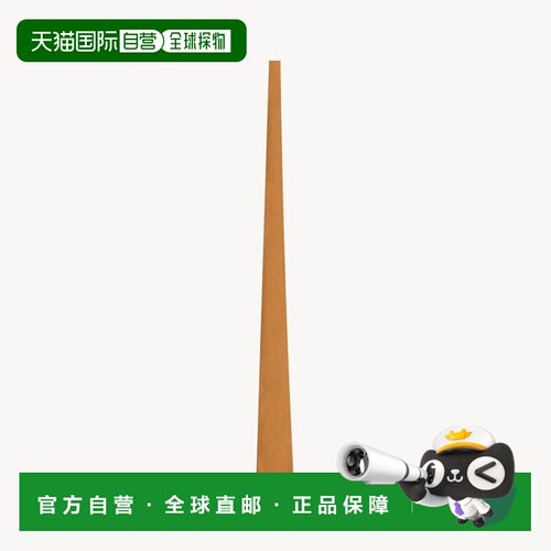 自营欧洲直邮YSL圣罗兰 男士浅棕色丝质缎面领带