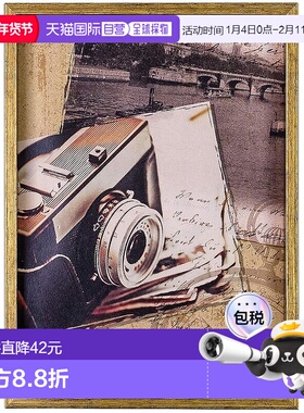 【日本直邮】仲林 Antico 内饰框架 2L 金色 F-TP-103-GD