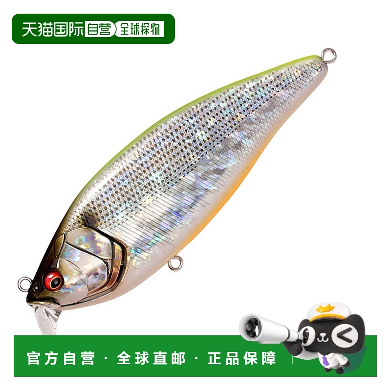 日本直邮Megabass KONOSIRUS SHAD F 150mm GG Chartback Konoshi