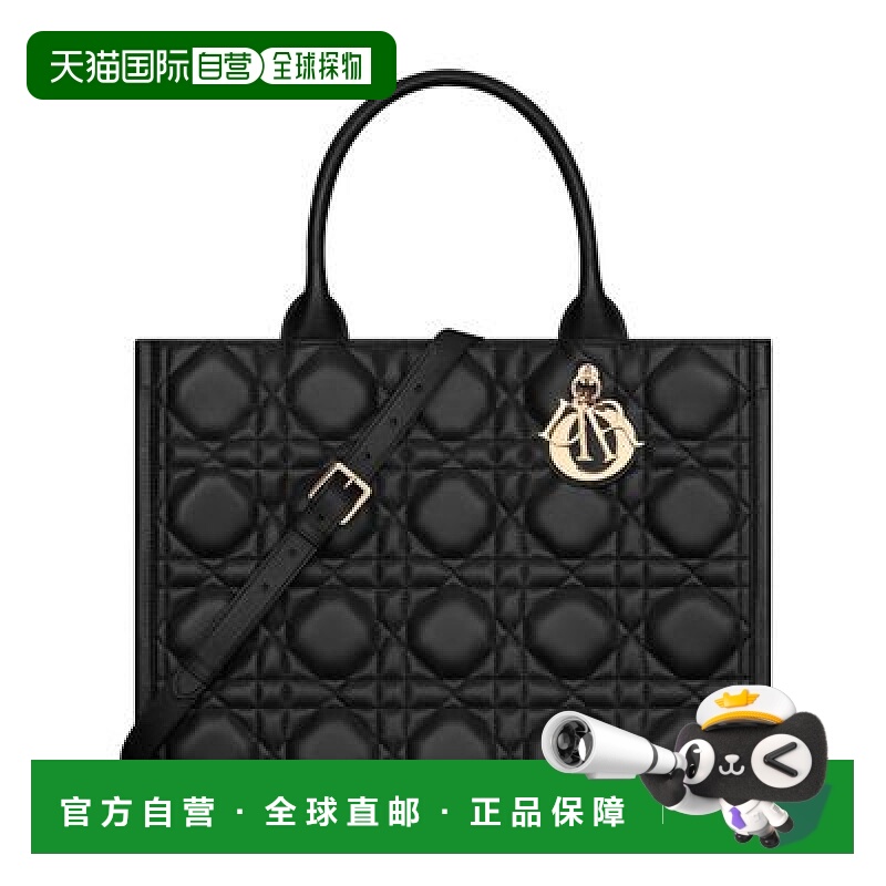 自营1h可退 欧洲直邮Dior/迪奥 中号书型手提袋正品高端包包百搭