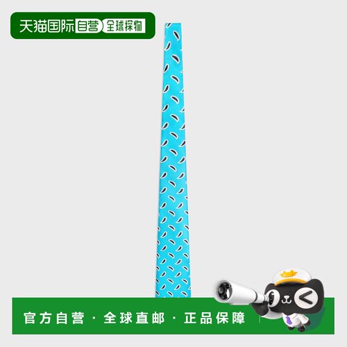 香港直邮CELINE 男士领带 AA0HN3I3007BH AW2026 【付后1h可退】