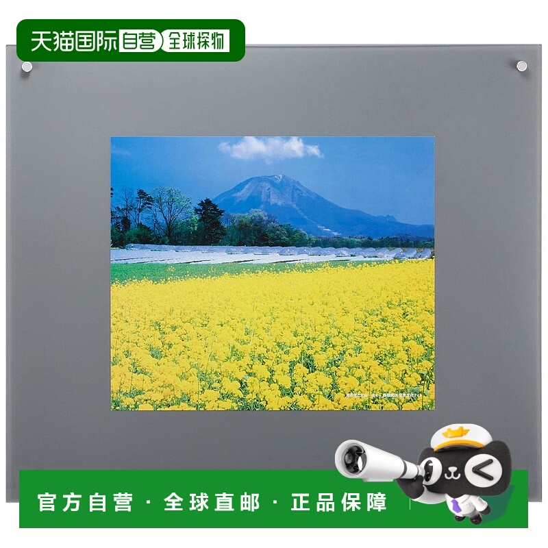 【日本直邮】Fujicolor富士胶片 相框 40116 L 特殊尺寸 银 00186