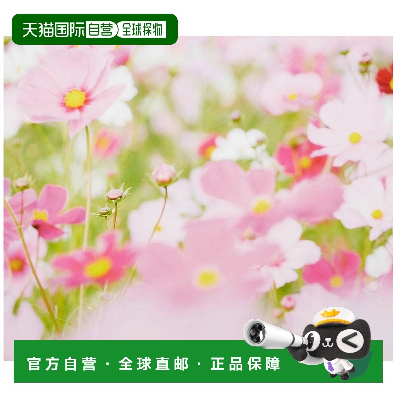 【日本直邮】Fujicolor富士胶片 特殊尺寸亚克力相框白色 48954