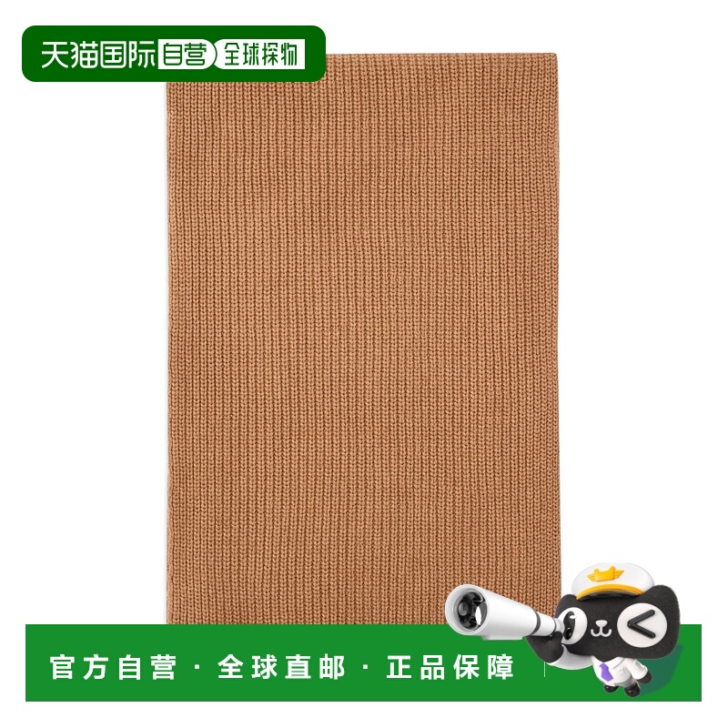 1h可退 香港直邮PINKO 女士围巾 105996A2Z4D23 AW2025 棕色 Brow