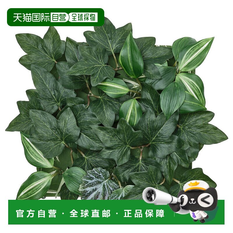 日本直邮FEJKA 壁挂式仿真绿植植物装饰 25x25cm图片