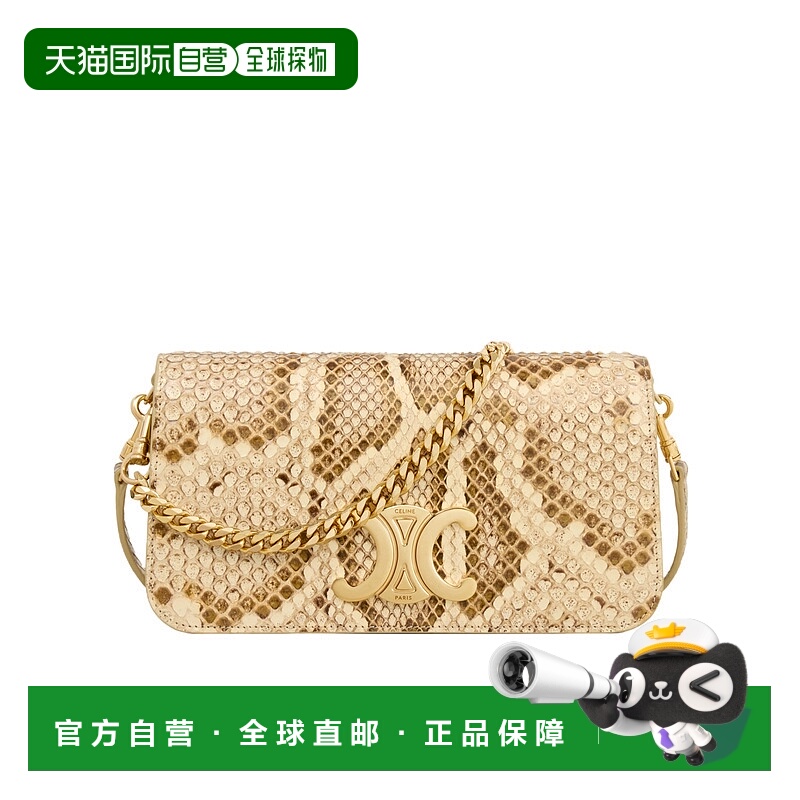 香港直邮CELINE 女士单肩包 10L974GJN02VG SS2025 花色 MULTIPOC